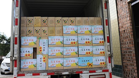 助銷黃桃社會(huì)扶貧，關(guān)愛員工送高溫福利